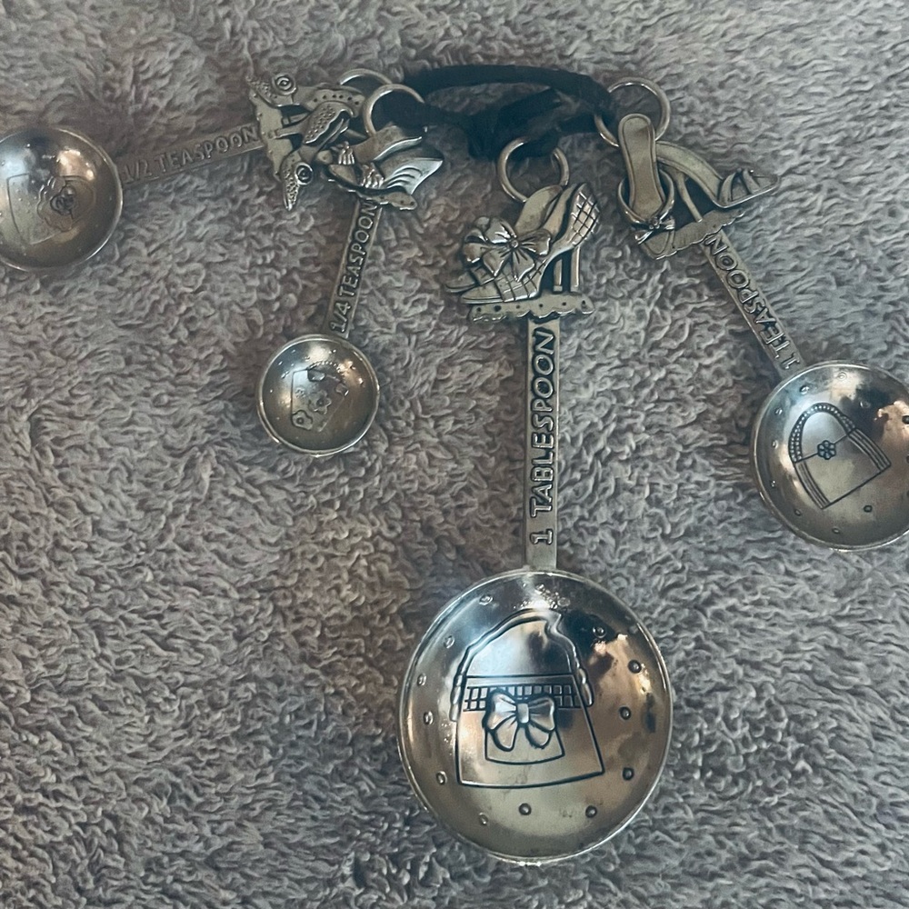 GANZ Silver Measuring Spoons Set
